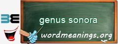 WordMeaning blackboard for genus sonora